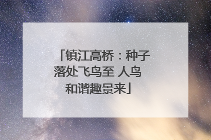 镇江高桥：种子落处飞鸟至 人鸟和谐趣景来