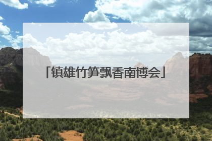 镇雄竹笋飘香南博会