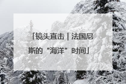 镜头直击｜法国尼斯的“海洋”时间