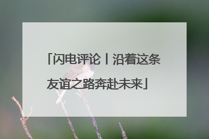 闪电评论丨沿着这条友谊之路奔赴未来