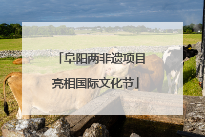 阜阳两非遗项目亮相国际文化节