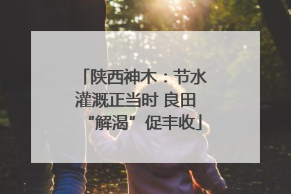 陕西神木：节水灌溉正当时 良田“解渴”促丰收
