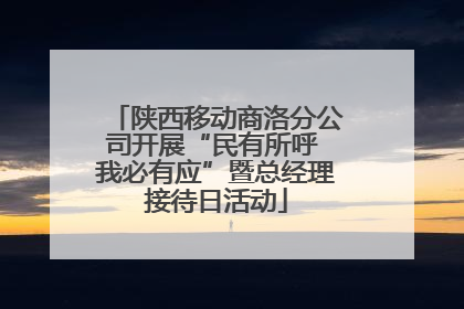 陕西移动商洛分公司开展“民有所呼 我必有应”暨总经理接待日活动