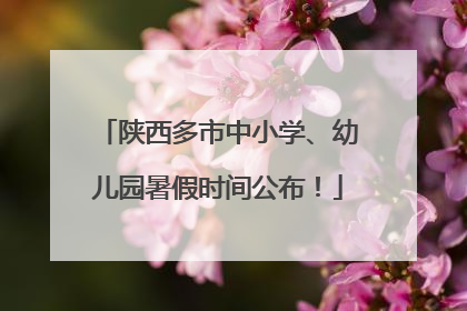陕西多市中小学、幼儿园暑假时间公布！