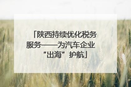 陕西持续优化税务服务——为汽车企业“出海”护航