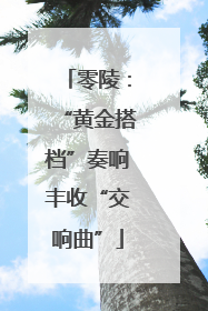 零陵：“黄金搭档”奏响丰收“交响曲”