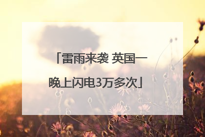 雷雨来袭 英国一晚上闪电3万多次