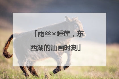 雨丝×睡莲，东西湖的油画时刻