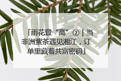 雨花登“高”②｜当非洲紫茶遇见湘江，订单里藏着共富密码