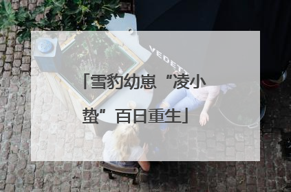 雪豹幼崽“凌小蛰”百日重生