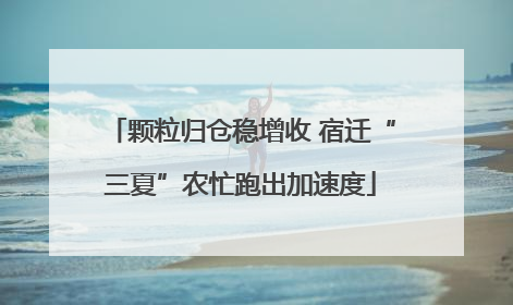 颗粒归仓稳增收 宿迁“三夏”农忙跑出加速度
