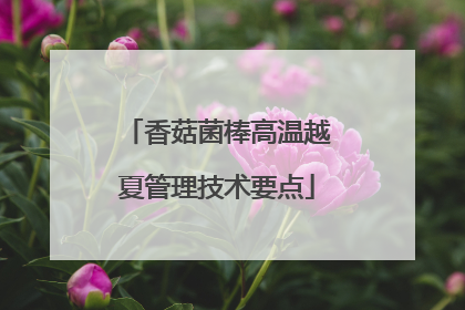 香菇菌棒高温越夏管理技术要点