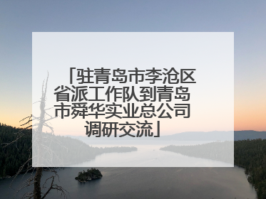 驻青岛市李沧区省派工作队到青岛市舜华实业总公司调研交流