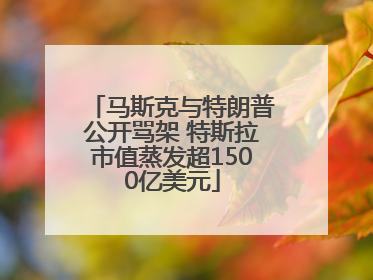 马斯克与特朗普公开骂架 特斯拉市值蒸发超1500亿美元