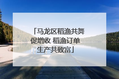 马龙区稻渔共舞促增收 稻渔订单生产共致富