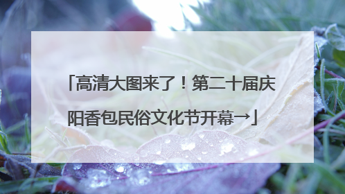 高清大图来了！第二十届庆阳香包民俗文化节开幕→