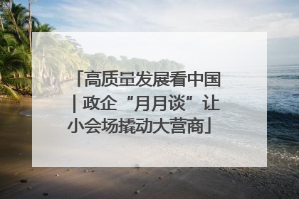 高质量发展看中国｜政企“月月谈”让小会场撬动大营商