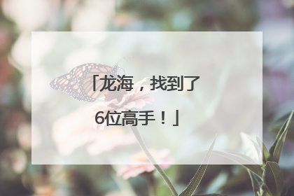 龙海，找到了6位高手！