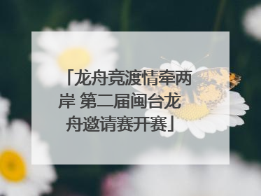 龙舟竞渡情牵两岸 第二届闽台龙舟邀请赛开赛