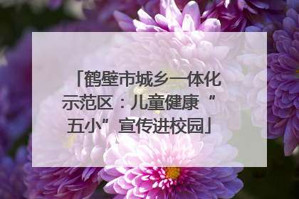 鹤壁市城乡一体化示范区：儿童健康“五小”宣传进校园