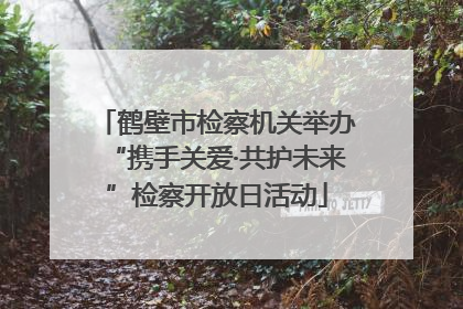鹤壁市检察机关举办“携手关爱·共护未来”检察开放日活动