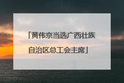 黄伟京当选广西壮族自治区总工会主席