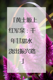 黄土塬上红军泉：千年甘甜水 浇出振兴路