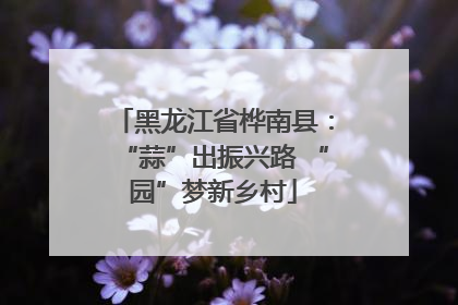 黑龙江省桦南县：“蒜”出振兴路 “园”梦新乡村