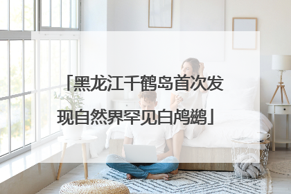 黑龙江千鹤岛首次发现自然界罕见白鸬鹚