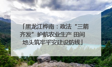 黑龙江桦南：政法“三箭齐发”护航农业生产 田间地头筑牢平安建设防线