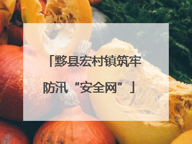 黟县宏村镇筑牢防汛“安全网”