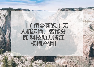 （侨乡新貌）无人机运输、智能分拣 科技助力浙江杨梅产销