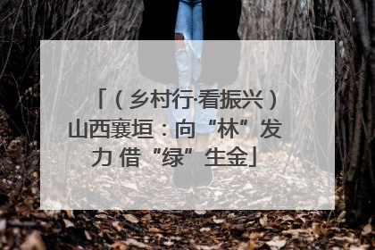 （乡村行·看振兴）山西襄垣：向“林”发力 借“绿”生金