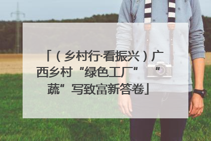 （乡村行·看振兴）广西乡村“绿色工厂” “蔬”写致富新答卷
