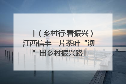 （乡村行·看振兴）江西信丰一片茶叶“沏”出乡村振兴路