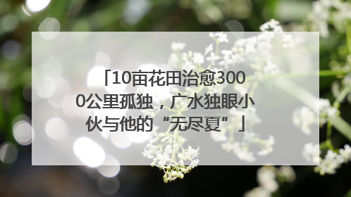 10亩花田治愈3000公里孤独，广水独眼小伙与他的“无尽夏”