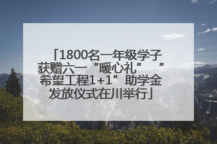 1800名一年级学子获赠六一“暖心礼” “希望工程1+1”助学金发放仪式在川举行
