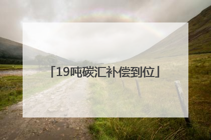 19吨碳汇补偿到位