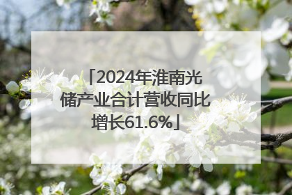2024年淮南光储产业合计营收同比增长61.6%