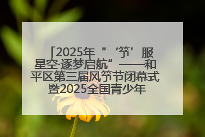 2025年“‘筝’服星空·逐梦启航”——和平区第三届风筝节闭幕式 暨2025全国青少年风筝制作放飞赛（沈阳站）颁奖仪式