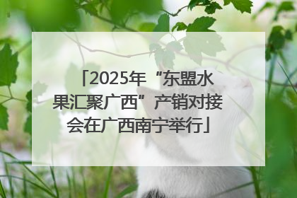 2025年“东盟水果汇聚广西”产销对接会在广西南宁举行