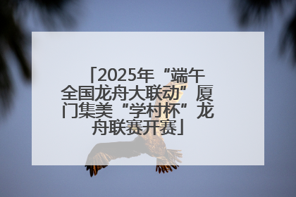 2025年“端午全国龙舟大联动”厦门集美“学村杯”龙舟联赛开赛