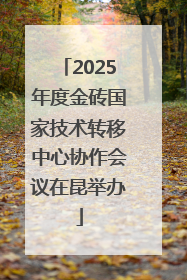 2025年度金砖国家技术转移中心协作会议在昆举办