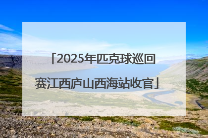 2025年匹克球巡回赛江西庐山西海站收官