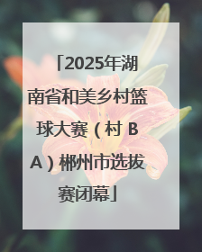 2025年湖南省和美乡村篮球大赛（村 BA）郴州市选拔赛闭幕