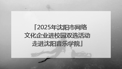 2025年沈阳市网络文化企业进校园双选活动走进沈阳音乐学院