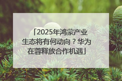 2025年鸿蒙产业生态将有何动向？华为在蓉释放合作机遇