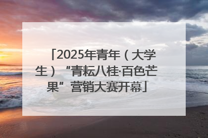 2025年青年（大学生）“青耘八桂·百色芒果”营销大赛开幕