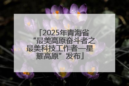 2025年青海省“最美高原奋斗者之最美科技工作者—星耀高原”发布