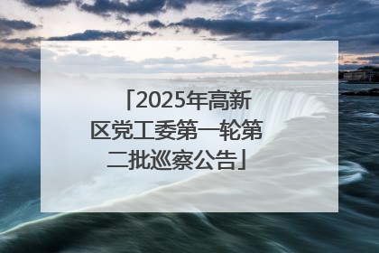 2025年高新区党工委第一轮第二批巡察公告
